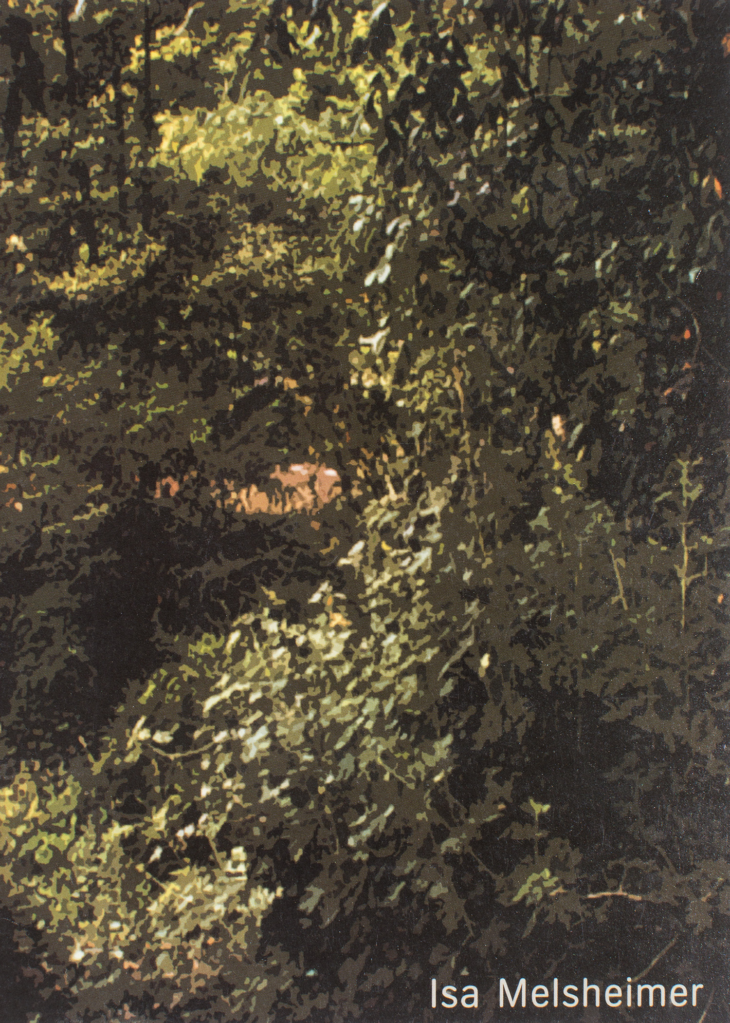 Isa Melsheimer, Artist in Residence final exhibition at the Künstlerhaus Schloss Balmoral, Bad Ems 1999.