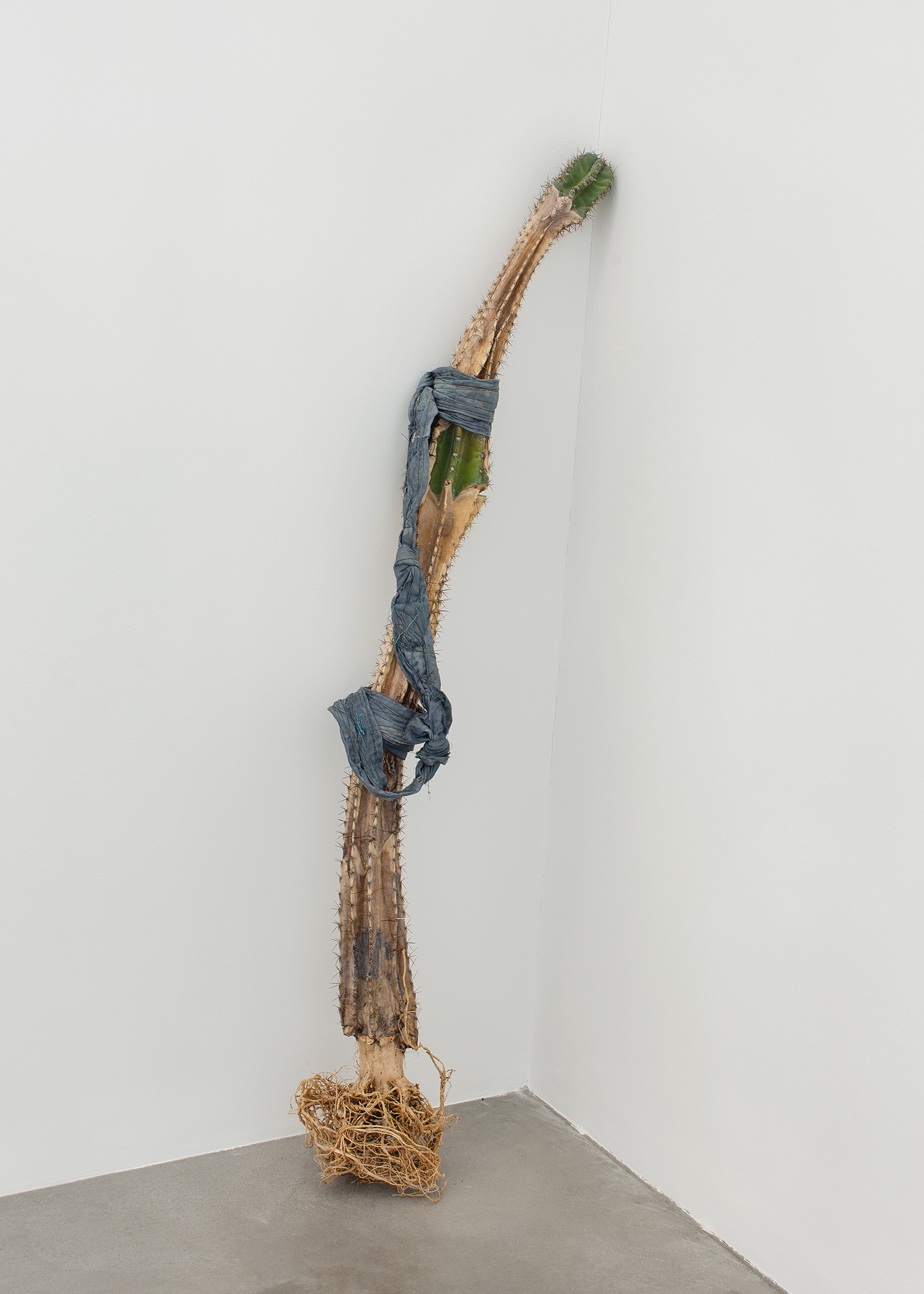 Isa Melsheimer Der unerfreuliche Zustand der Textur KINDL – Zentrum für zeitgenössische Kunst, Berlin.