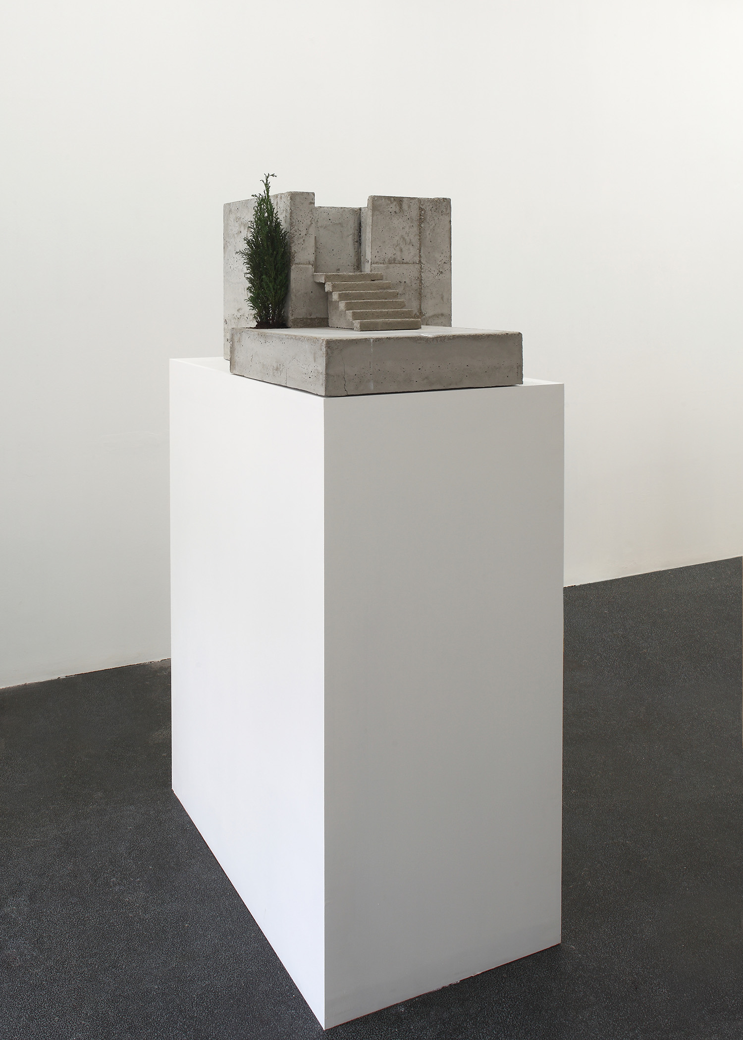 Isa Melheimer, Dachgarten, Galerie Jocelyn Wolff, Paris.