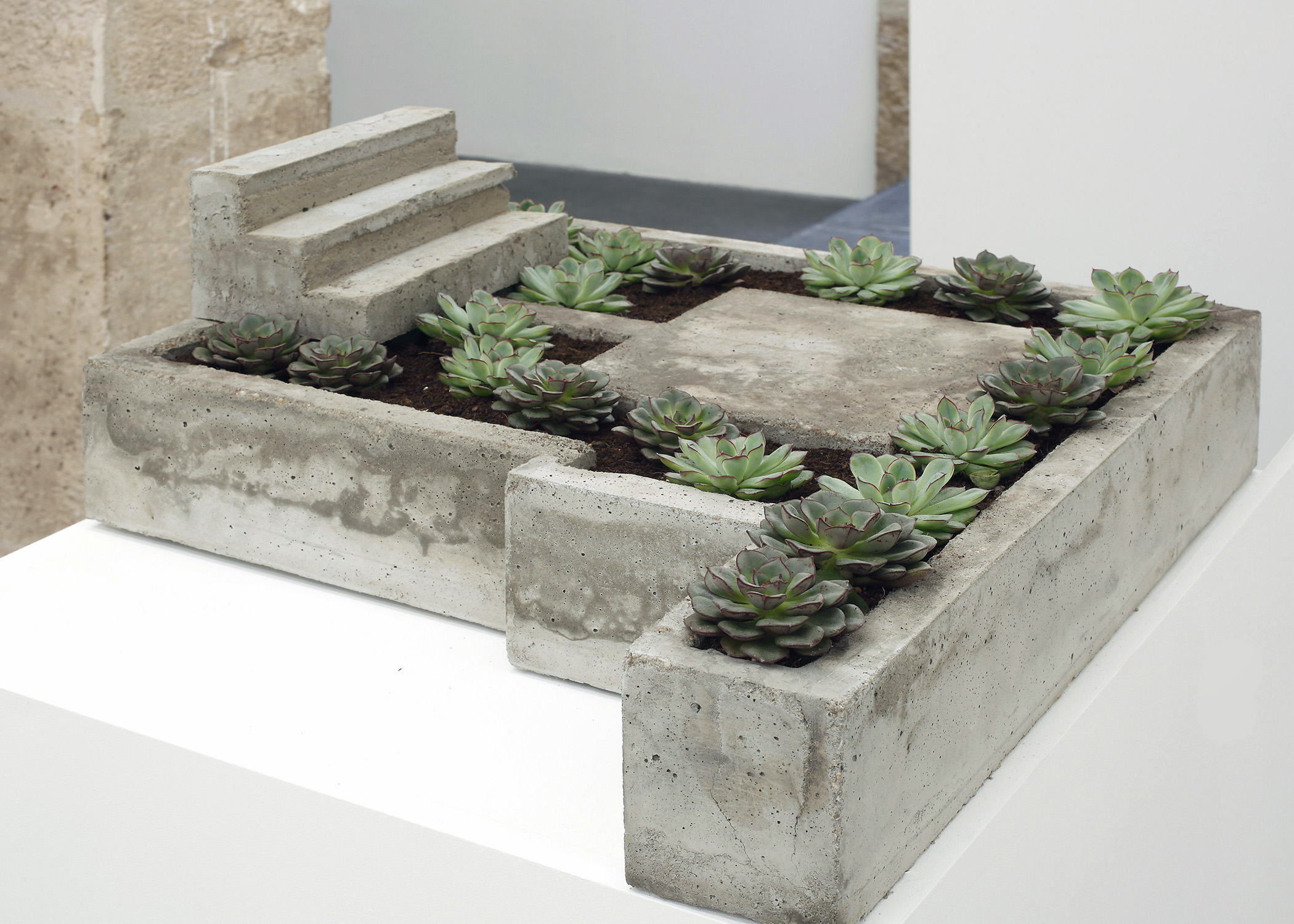 Isa Melheimer, Dachgarten, Galerie Jocelyn Wolff, Paris.