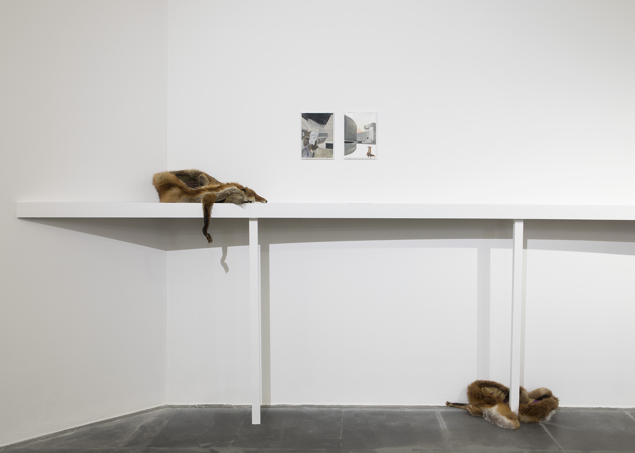 Isa Melsheimer COMPOST MAMAC | Musée d'Art Moderne et d'Art Contemporain.