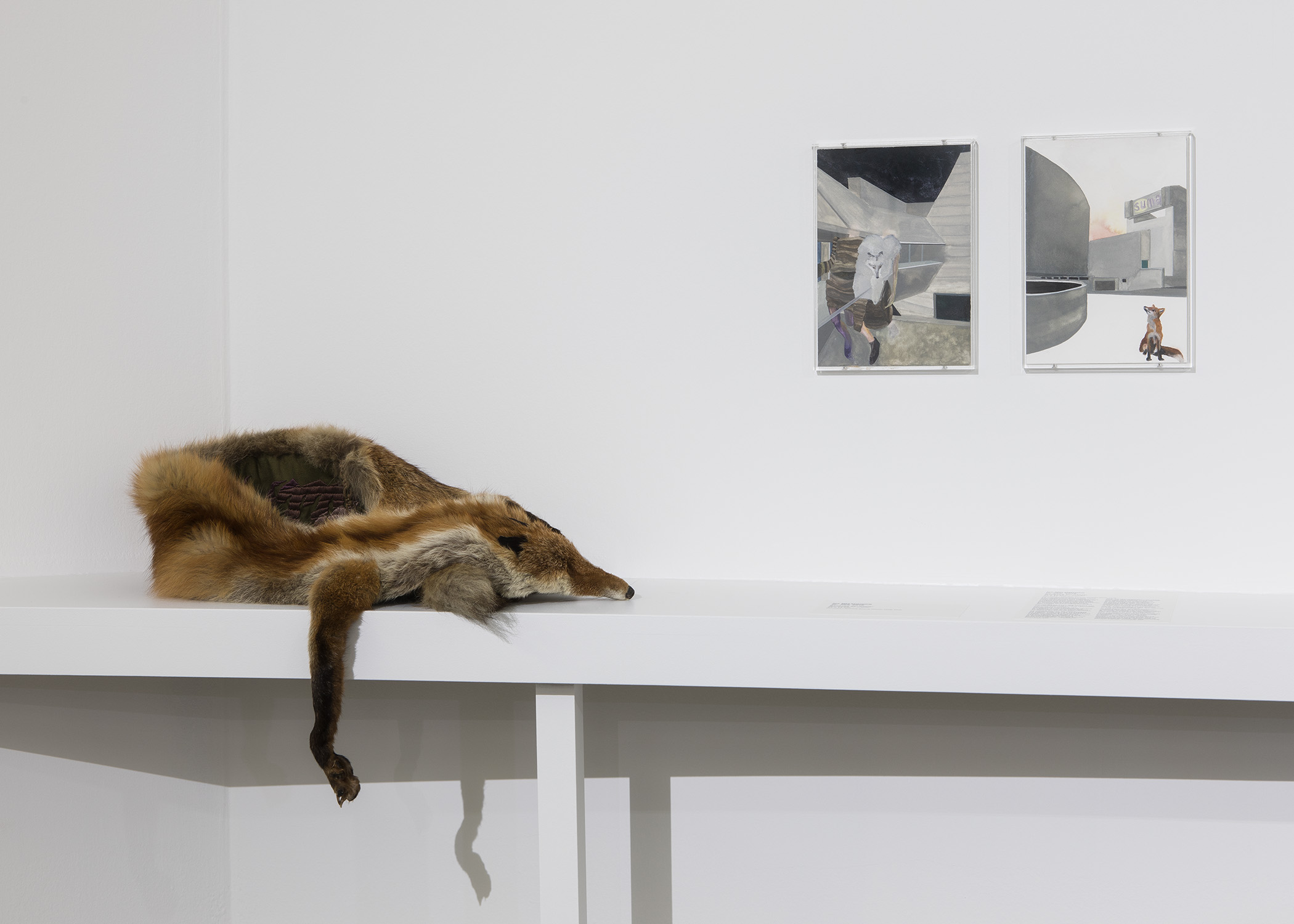 Isa Melsheimer COMPOST MAMAC | Musée d'Art Moderne et d'Art Contemporain.