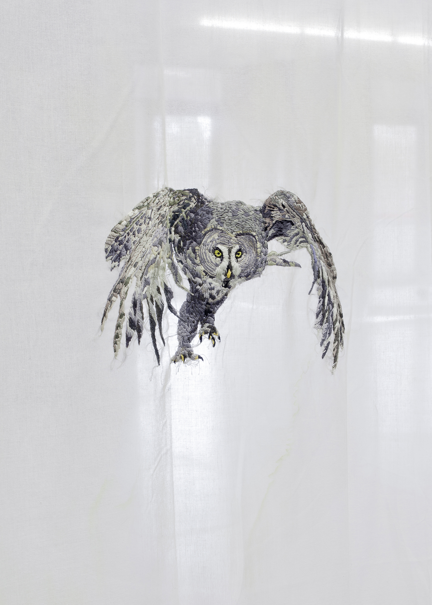 Isa Melsheimer, Synapsen, Ikob – Museum für Zeitgenössische Kunst, Eupen Belgien.