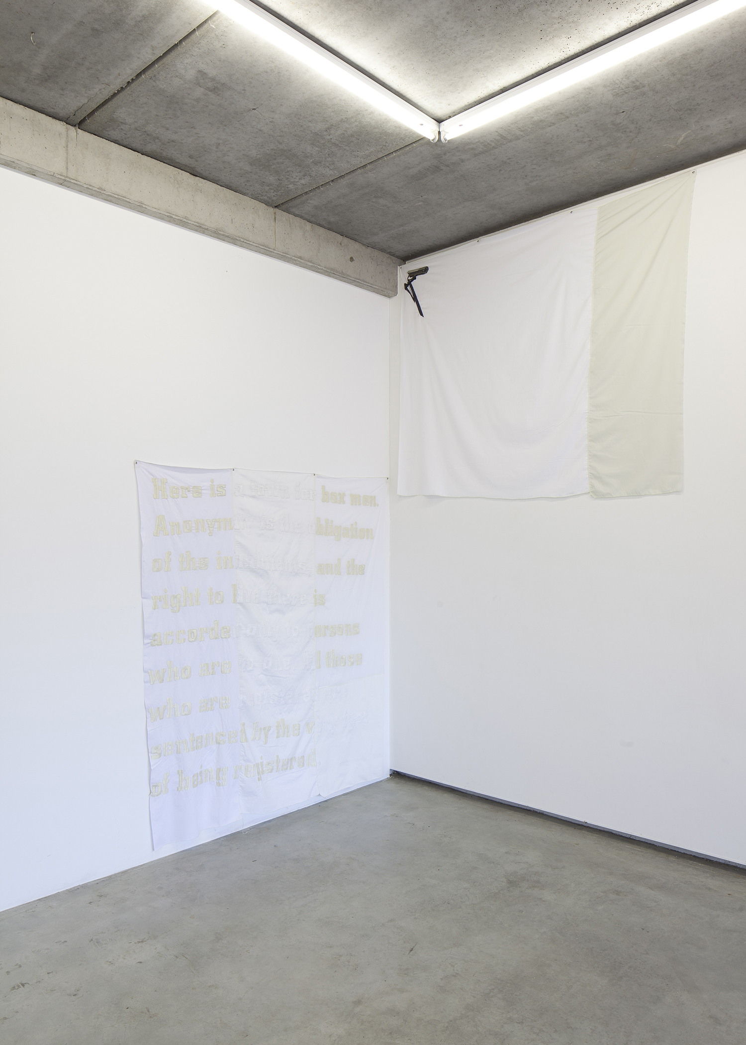 Isa Melsheimer, Synapsen, Ikob – Museum für Zeitgenössische Kunst, Eupen Belgien.