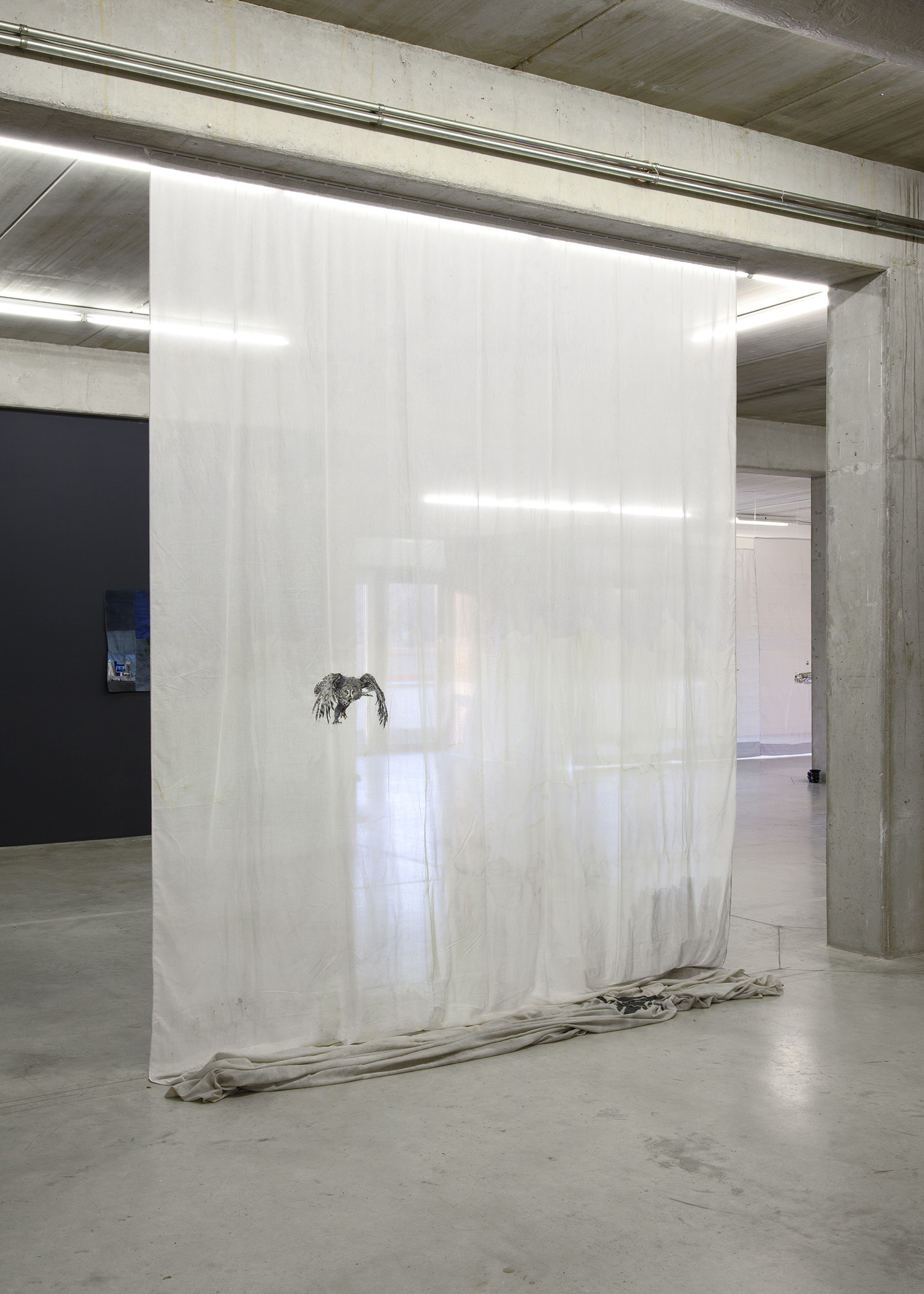 Isa Melsheimer, Synapsen, Ikob – Museum für Zeitgenössische Kunst, Eupen Belgien.