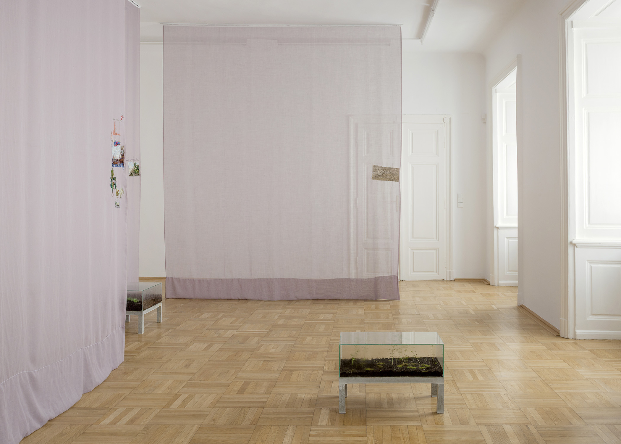 Isa Melsheimer, Plant HuntersGalerie nächst St. Stephan Rosemarie Schwarzwälder, Vienna.