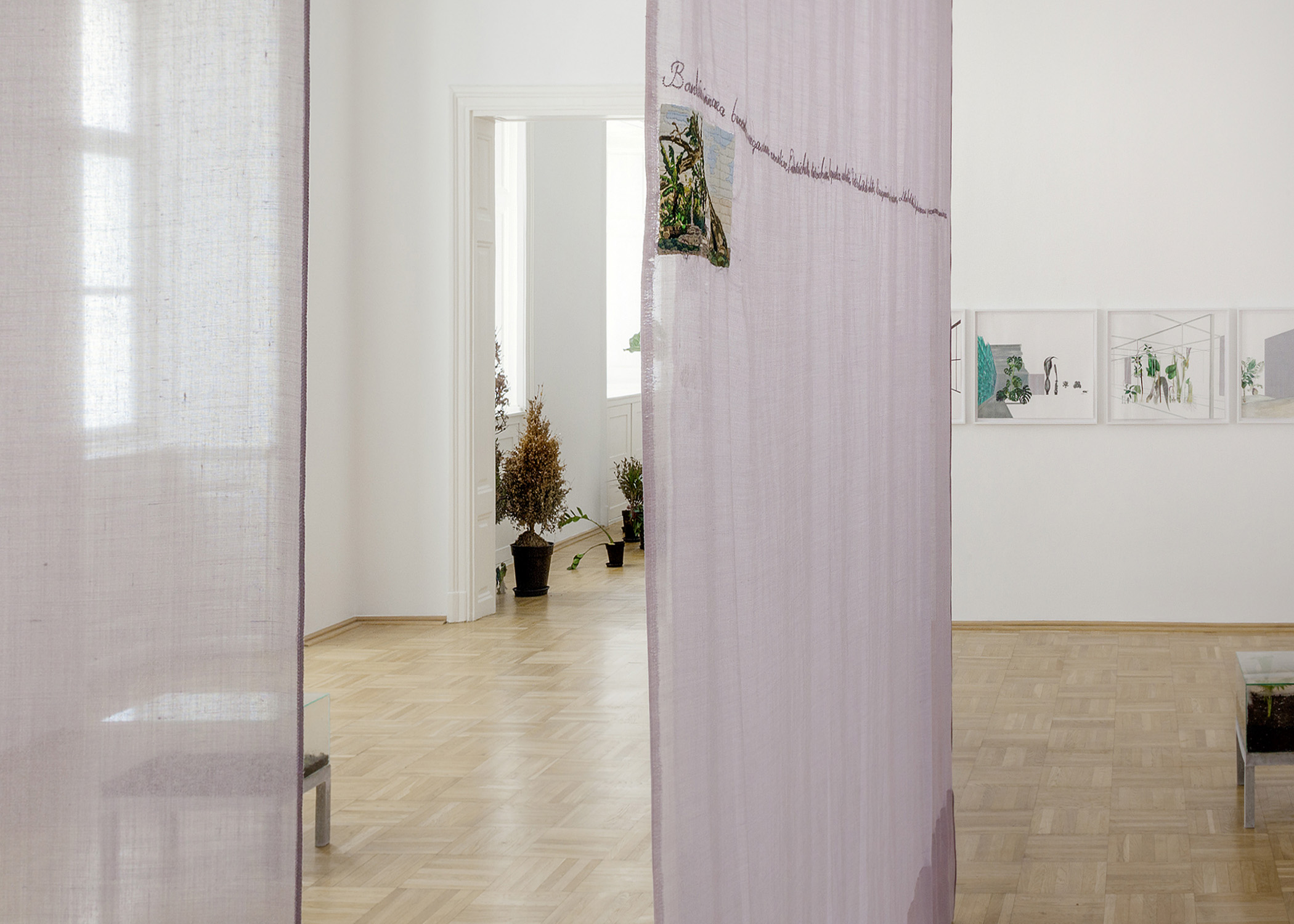Isa Melsheimer, Plant HuntersGalerie nächst St. Stephan Rosemarie Schwarzwälder, Vienna.