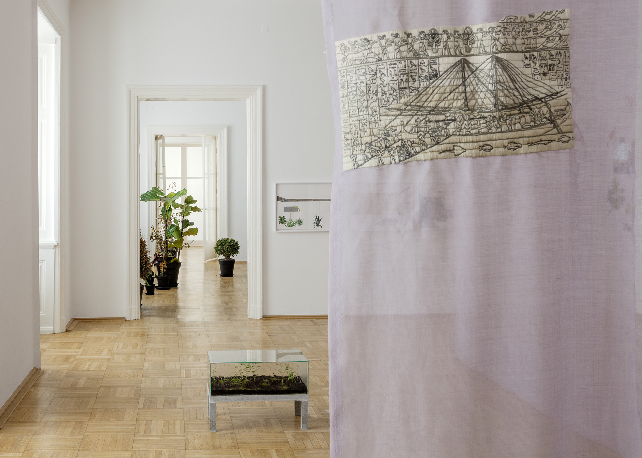 Isa Melsheimer, Plant HuntersGalerie nächst St. Stephan Rosemarie Schwarzwälder, Vienna.