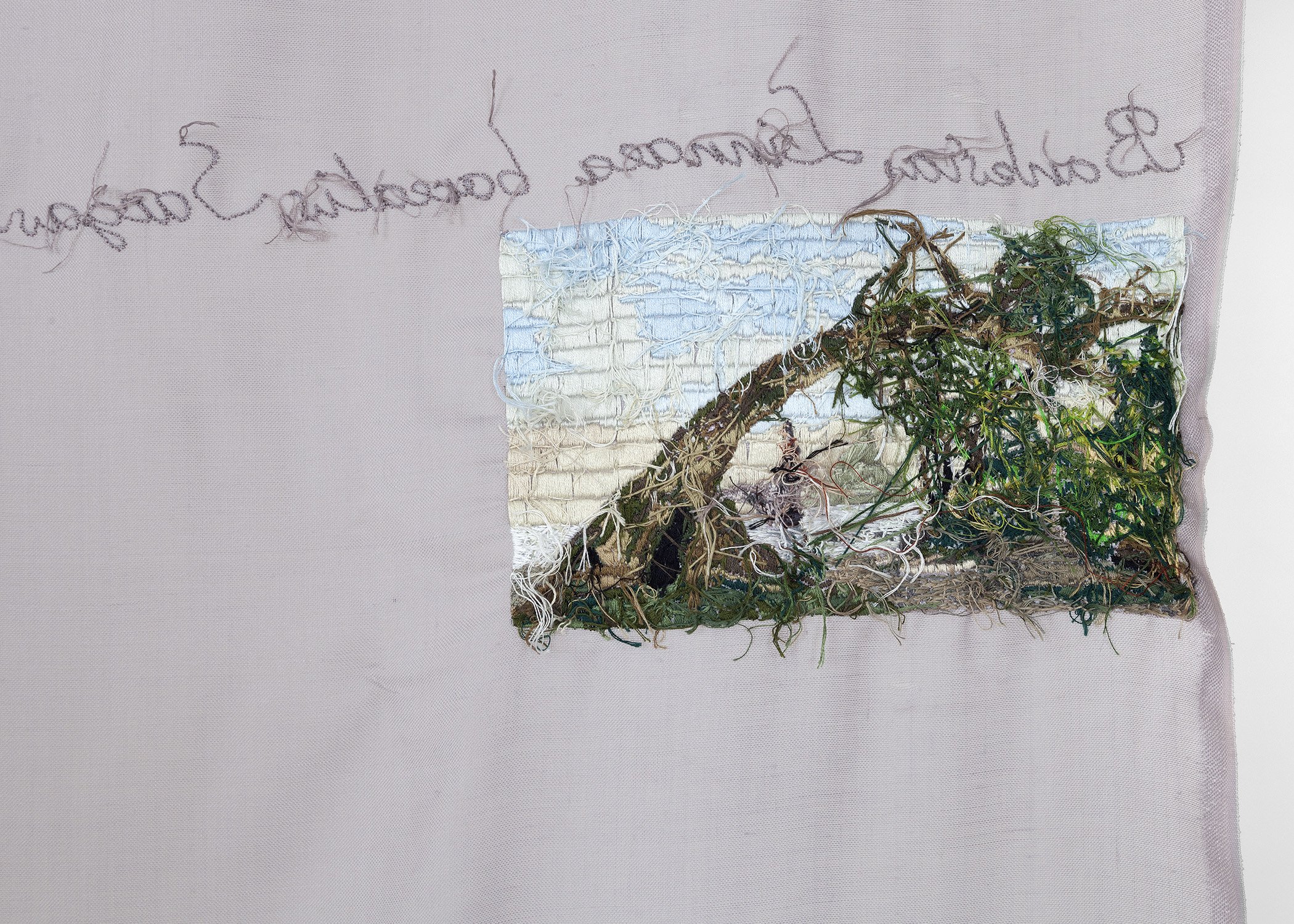 Isa Melsheimer, Plant HuntersGalerie nächst St. Stephan Rosemarie Schwarzwälder, Vienna.