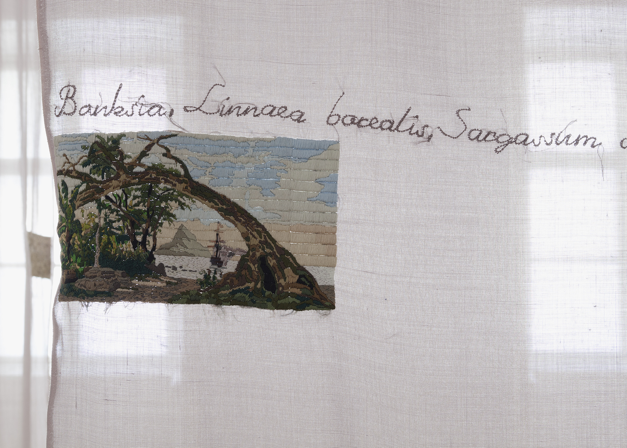 Isa Melsheimer, Plant HuntersGalerie nächst St. Stephan Rosemarie Schwarzwälder, Vienna.