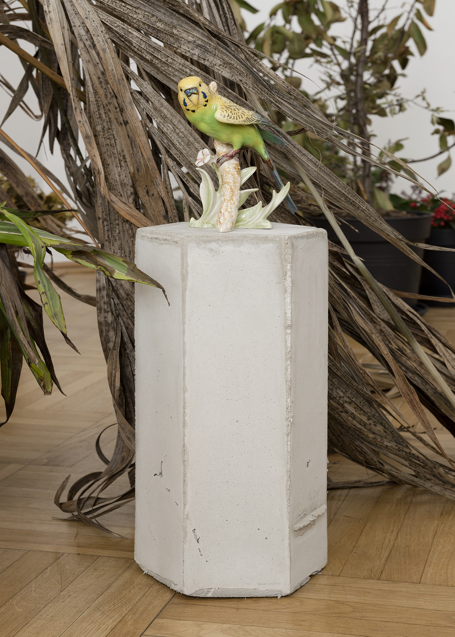 Isa Melsheimer, Plant HuntersGalerie nächst St. Stephan Rosemarie Schwarzwälder, Vienna.
