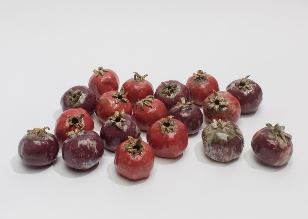 Punica granatum, Isa Melsheimer.