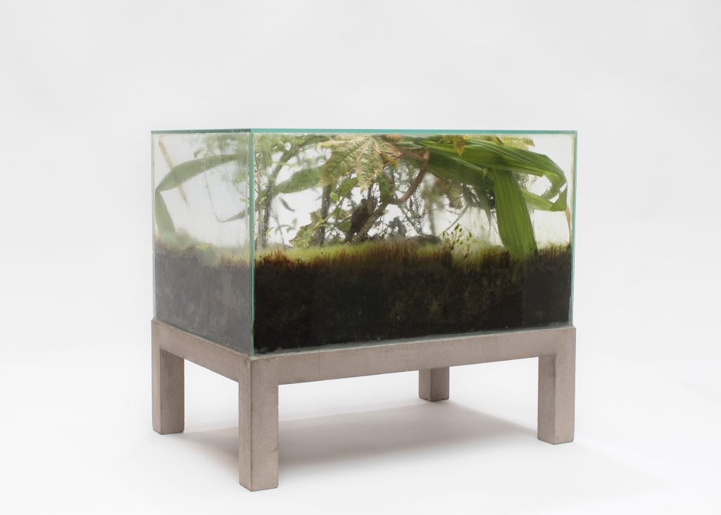 Isa Melsheimer, Wardian Case (Madrid), 2024, reinforced concrete, glass, potting soil, seeds, plants 49 x 55 x 38 cm.
