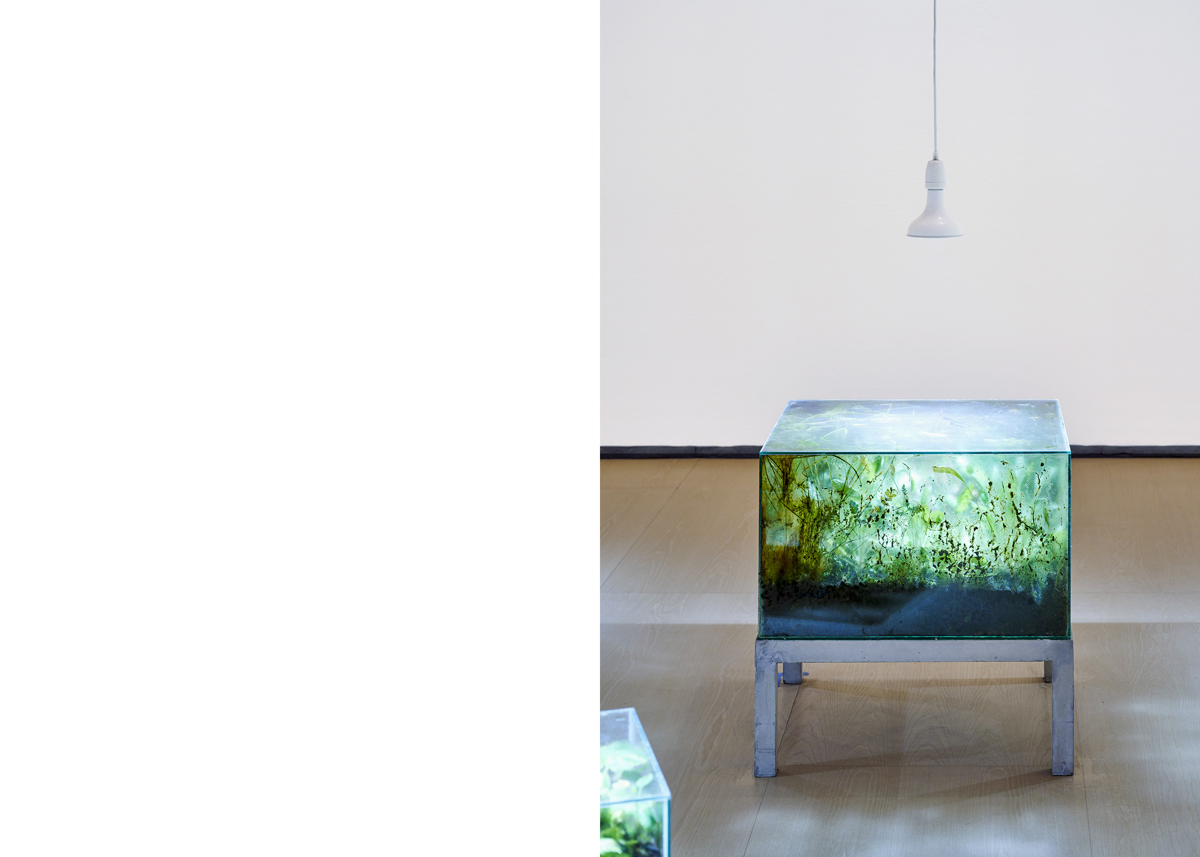 Isa Melsheimer Installation view, Arts of the Earth, Guggenheim.