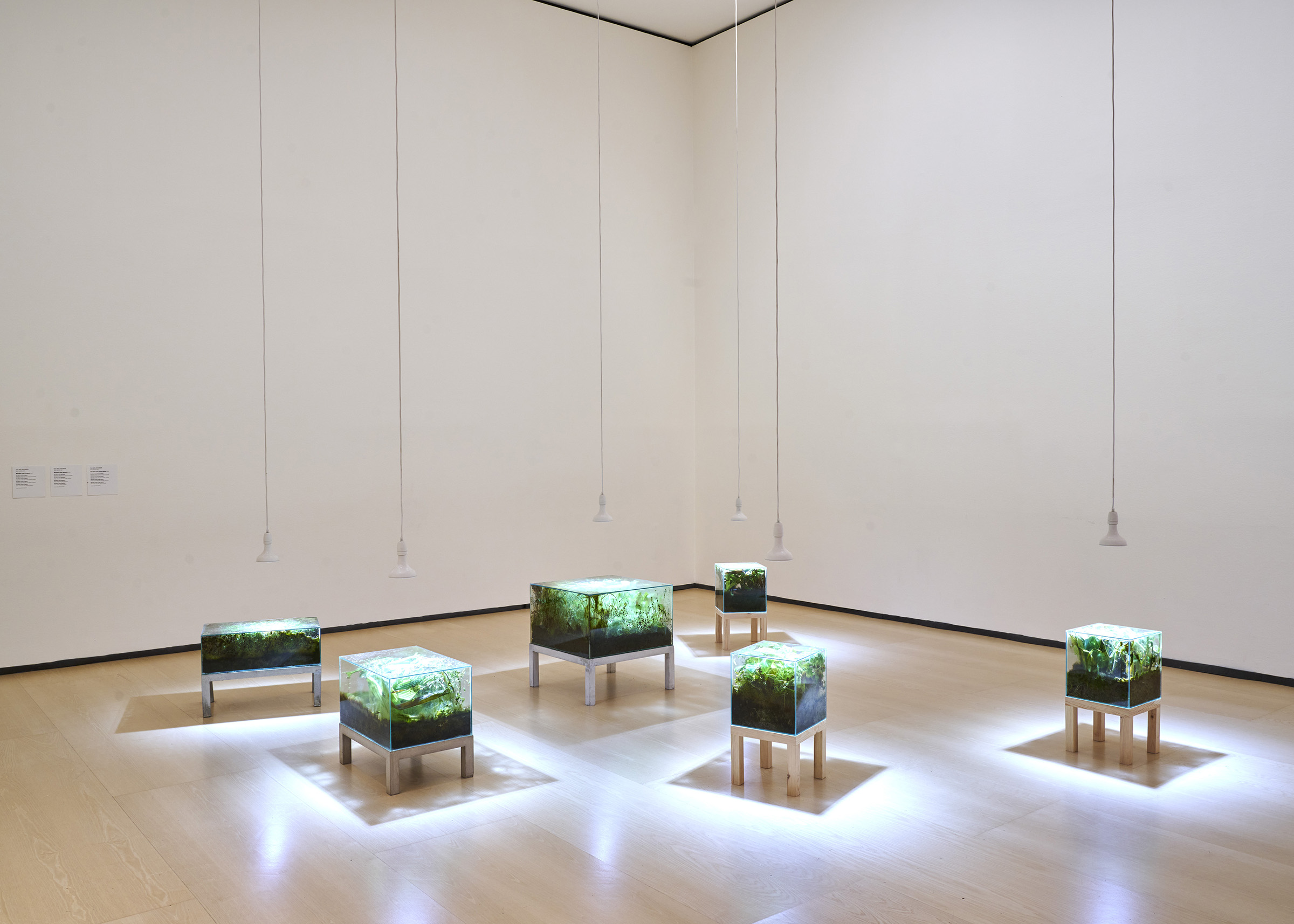 Isa Melsheimer Installation view, Arts of the Earth, Guggenheim.